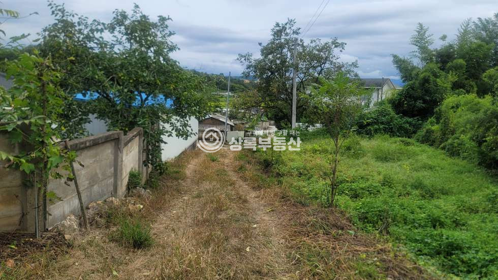 경북 구미시 해평면 낙성리 539-4 구미5공단 급매물 감나무밭 매매 매물번호 10559 사진 1