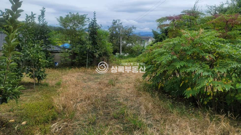 경북 구미시 해평면 낙성리 539-4 구미5공단 급매물 감나무밭 매매 매물번호 10559 사진 2