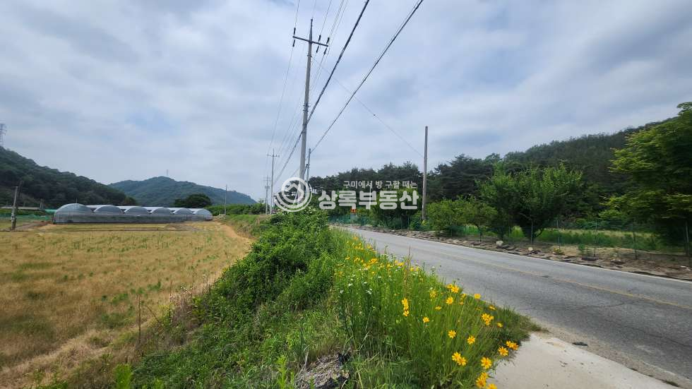 경북 김천시 남면 오봉리 초급매물 평당53만 파격적인 금액 매매 매물번호 10391 사진 3