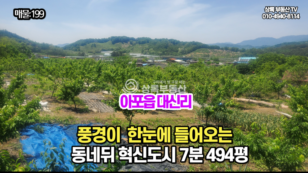경북 김천시 아포읍 대신리 김천시 아포읍 대신리 전망 좋은 토지 매매 매물번호 10206 사진 1