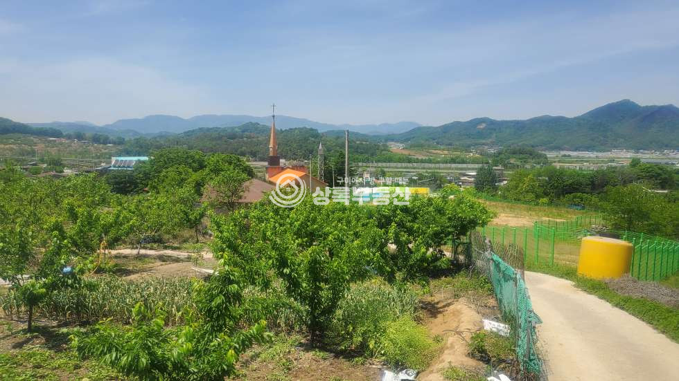 경북 김천시 아포읍 대신리 김천시 아포읍 대신리 전망 좋은 토지 매매 매물번호 10206 사진 2