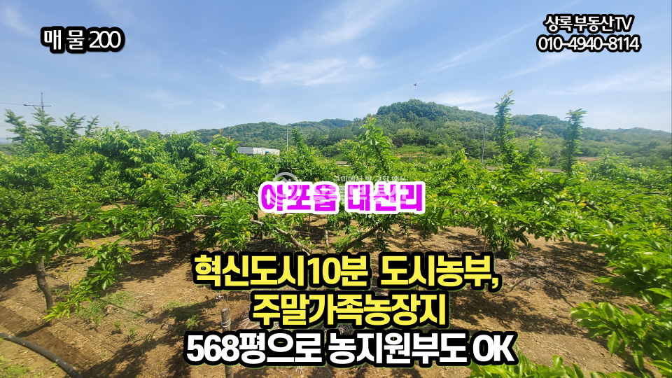 경북 김천시 아포읍 대신리 김천 아포읍 대신리 저수지인근토지 매매 매물번호 10207 사진 1