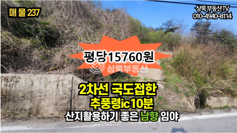 충북 영동군 추풍령면 신안리 추풍령 ic10분 산림조합, 임업경영하기 좋은 44418평 대형임야 매매 매물번호 10355 사진 1