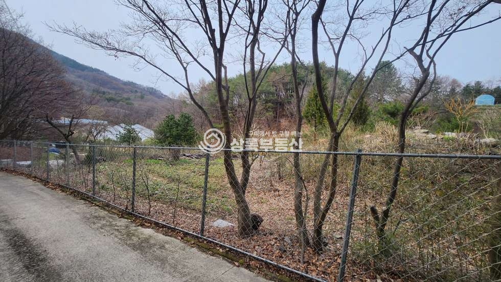 경북 김천시 농소면 입석리 집터와 들, 그리고 산을 소유할수 있는 혁신도시 5분거리 입서리토지 매매 매물번호 10354 사진 5