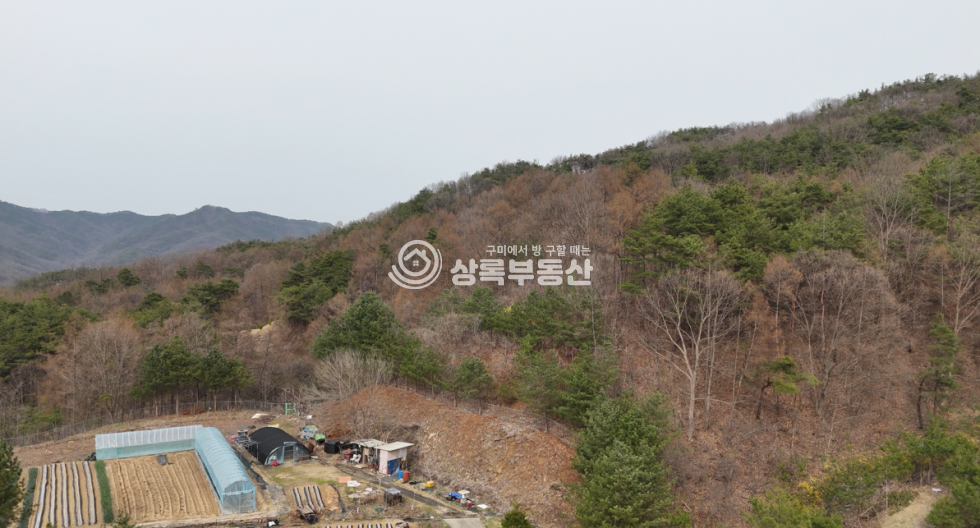 경북 김천시 농소면 입석리 집터와 들, 그리고 산을 소유할수 있는 혁신도시 5분거리 입서리토지 매매 매물번호 10354 사진 11