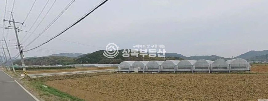 경북 김천시 감문면 태촌리 김천시 감문면 태촌리 6~년생 샤인머스켓 농원매매 매매 매물번호 10192 사진 2