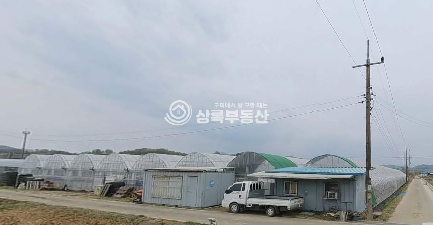 경북 김천시 감문면 태촌리 김천시 감문면 태촌리 6~년생 샤인머스켓 농원매매 매매 매물번호 10192 사진 3