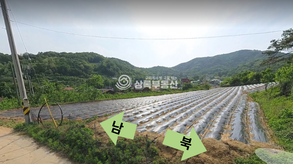 경북 칠곡군 기산면 평복리 기산면평복리 전망잘나오는 토지 매매 매물번호 10374 사진 2